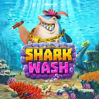 Shark-Wash